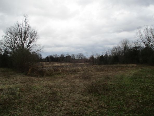 Highway 11 & County Rd 716: Highway 11 & County Rd 716, Riceville, TN 37370